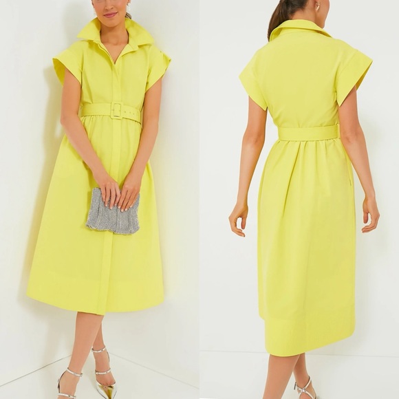TUCKERNUCK Citron Chloe Dress SMALL - Picture 2 of 13